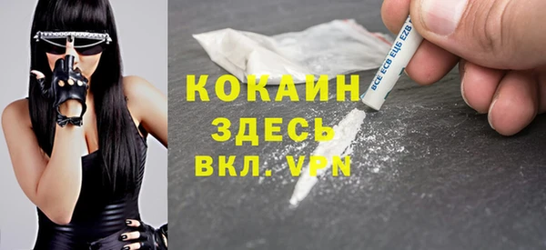 spice Алексин