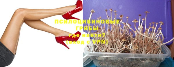 spice Алексин