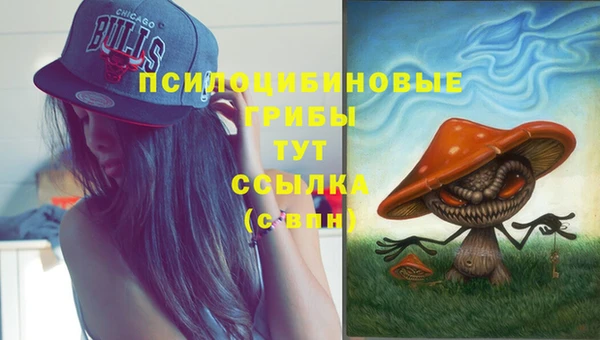 spice Алексин